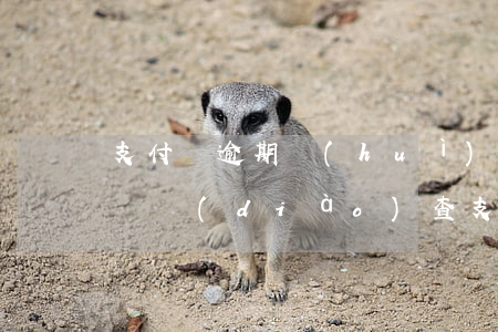 支付寶逾期會(huì)不會(huì)上門調(diào)查(支付寶逾期會(huì)不會(huì)上門調(diào)查)