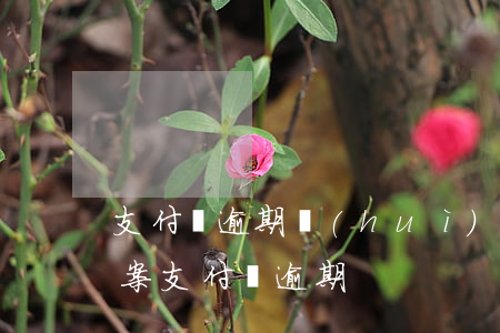 支付寶逾期會(huì)不會(huì)備案(支付寶 逾期)