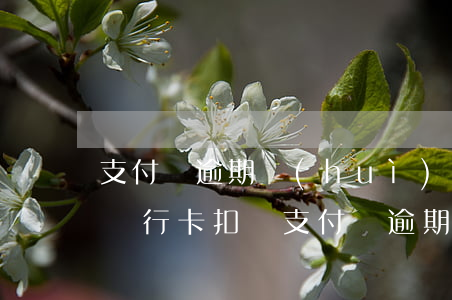 支付寶逾期會(huì)不會(huì)從銀行卡扣錢(支付寶逾期會(huì)扣銀行卡的錢嗎)