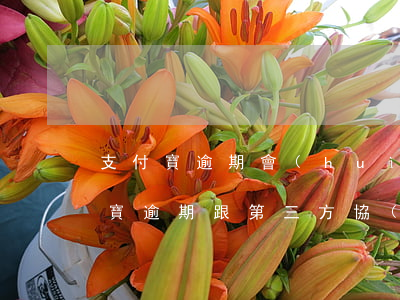 支付寶逾期會(huì)交給第三方嗎(支付寶逾期跟第三方協(xié)商有用嗎)