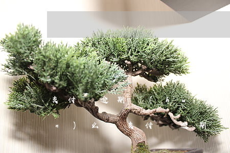 支付寶逾期會(huì)保全房產(chǎn)么-支付寶逾期凍結(jié)房產(chǎn)