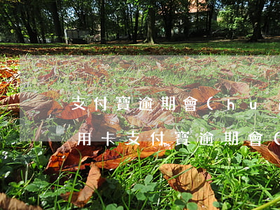 支付寶逾期會(huì)凍結(jié)信用卡（支付寶逾期會(huì)扣信用卡么）