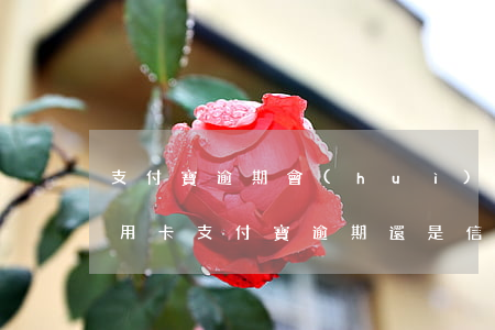 支付寶逾期會(huì)凍結(jié)信用卡（支付寶逾期還是信用卡）