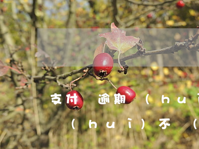 支付寶逾期會(huì)刑拘嘛(支付寶逾期會(huì)不會(huì)坐牢)