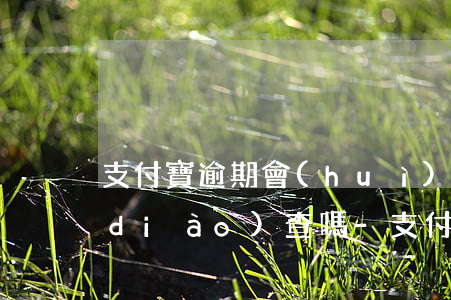 支付寶逾期會(huì)去戶籍地走訪調(diào)查嗎-支付寶逾期會(huì)去戶籍地走訪調(diào)查嗎安全嗎