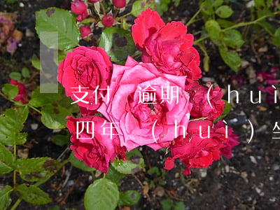 支付寶逾期會(huì)坐牢嘛(支付寶逾期四年會(huì)坐牢嗎)