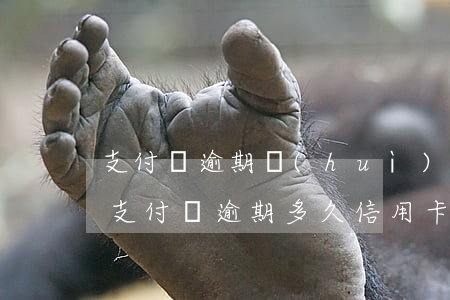 支付寶逾期會(huì)影響信用卡額度嘛(支付寶逾期多久信用卡才會(huì)降額度)