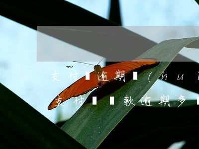 支付寶逾期會(huì)影響捷信貸款嗎-支付寶貸款逾期多長時(shí)間會(huì)影響征信