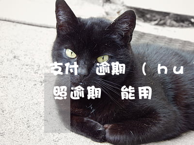 支付寶逾期會(huì)影響考駕駛證嗎(駕照逾期還能用嗎)