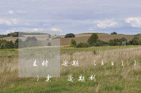 支付寶逾期會(huì)影響買飛機(jī)票嗎(逾期影響買飛機(jī)票嗎?)
