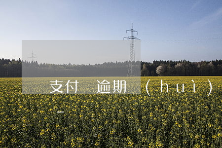 支付寶逾期會(huì)影響辦理身份證嗎-
