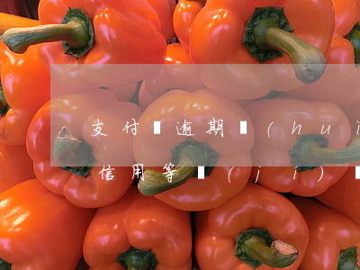 支付寶逾期會(huì)影響閑魚(yú)信用等級(jí)嗎-支付寶被閑魚(yú)暫時(shí)關(guān)閉支付功能影響征信嘛