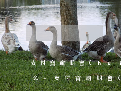 支付寶逾期會(huì)打支付寶好友電話么-支付寶逾期會(huì)打支付寶好友電話么嗎