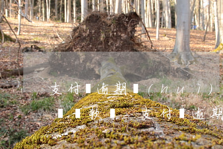 支付寶逾期會(huì)扣對(duì)公賬戶款嗎-支付寶逾期會(huì)不會(huì)從銀行卡直接扣