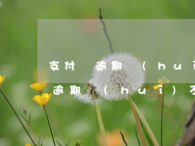 支付寶逾期會(huì)扣銀行卡嗎(支付寶逾期會(huì)不會(huì)從銀行卡扣款)