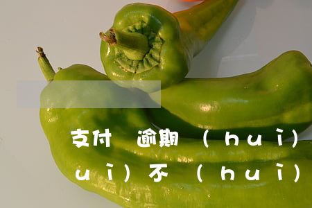 支付寶逾期會(huì)(支付寶逾期會(huì)不會(huì)影響下一代)