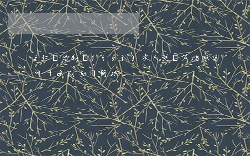 支付寶逾期會(huì)有人到戶籍地嘛(支付寶逾期去戶籍地)