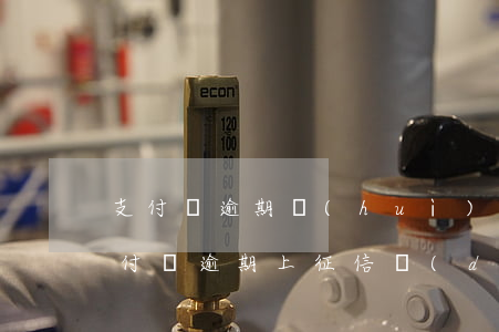 支付寶逾期會(huì)有征信影響嗎-支付寶逾期上征信對(duì)以后生活有啥影響