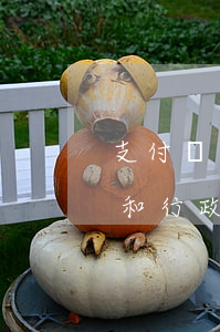 支付寶逾期會(huì)民事責(zé)任和行政處罰-支付寶逾期會(huì)民事責(zé)任和行政處罰嘛