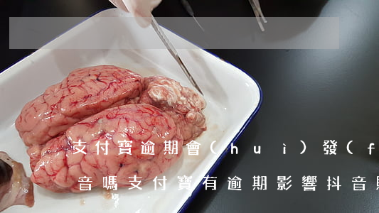 支付寶逾期會(huì)發(fā)布在抖音嗎（支付寶有逾期影響抖音賬號(hào)嗎）