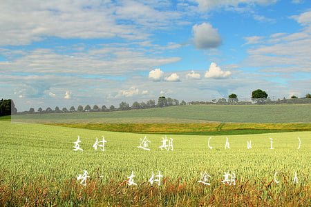 支付寶逾期會(huì)給親戚朋友打電話呀-支付寶逾期會(huì)給親戚朋友打電話呀是真的嗎