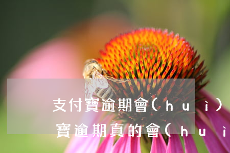 支付寶逾期會(huì)被判為欺詐嗎(支付寶逾期真的會(huì)起訴嗎?)