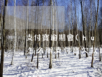 支付寶逾期會(huì)被起訴嗎?真還不上怎么辦（支付寶欠款逾期讓起訴不起訴）