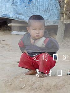 支付寶逾期會(huì)要求全額還款么-支付寶逾期后要求還全款可是現(xiàn)在錢不夠想還是按月還