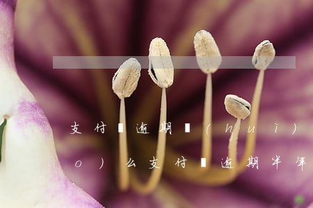 支付寶逾期會(huì)要身份證號(hào)么 支付寶逾期半年去辦身份證會(huì)被派出所抓嗎