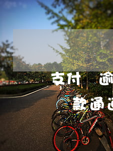 支付寶逾期會(huì)關(guān)閉還款通道嗎(支付寶關(guān)閉還款通道,進(jìn)行法院還款是真的嘛)