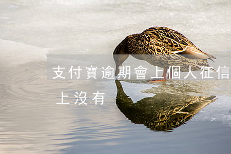 支付寶逾期會上個人征信嗎（支付寶逾期征信上沒有）
