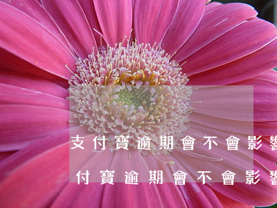 支付寶逾期會不會影響下一代(我另外一個支付寶逾期會不會影響我當(dāng)前在用的支付寶)