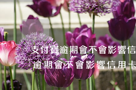支付寶逾期會不會影響信用卡使用-支付寶逾期會不會影響信用卡使用額度