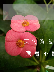 支付寶逾期會不會從微信零錢扣-支付寶逾期會不會從微信零錢扣錢