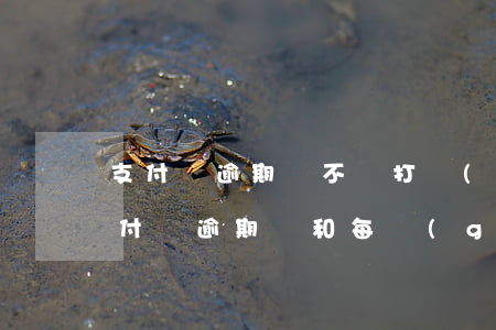 支付寶逾期會不會打聯(lián)系人(支付寶逾期會和每個(gè)聯(lián)系人打電話嗎)