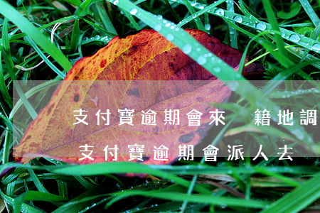 支付寶逾期會來戶籍地調(diào)查嗎(支付寶逾期會派人去戶籍所在地調(diào)查嗎)