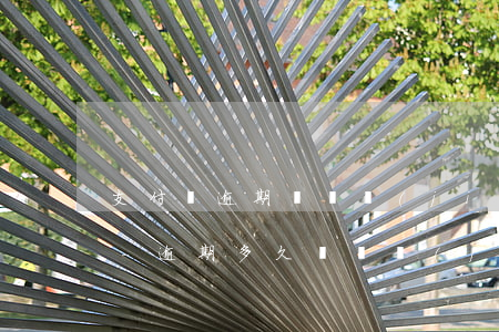支付寶逾期會凍結(jié)我微信的錢嗎-逾期多久會凍結(jié)支付寶微信