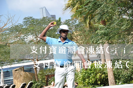 支付寶逾期會凍結(jié)銀行卡微信嘛(支付寶逾期會被凍結(jié)銀行卡微信嗎)