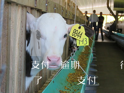 支付寶逾期會凍結銀行卡賬戶嗎 支付寶逾期了會凍結支付寶賬戶嘛