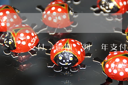 支付寶逾期會判幾年（支付寶算不算逾期）