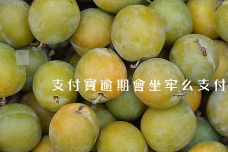 支付寶逾期會坐牢么 支付寶逾期會坐牢么