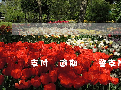 支付寶逾期會報警(支付寶逾期會有什么提示)