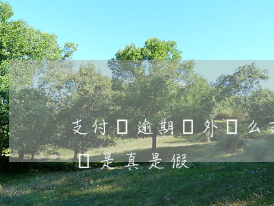 支付寶逾期會外訪么(支付寶逾期外訪人員上門是真是假)