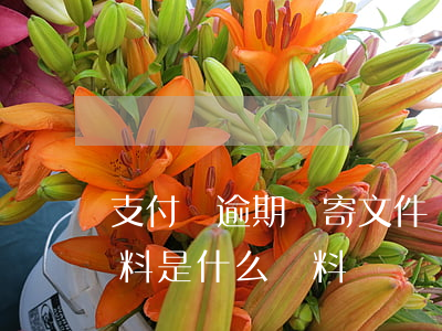 支付寶逾期會寄文件過來嗎(支付寶逾期寄資料是什么資料)