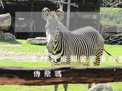 支付寶逾期會寄東西嗎（支付寶逾期會異地寄傳票嗎）