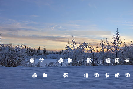 支付寶逾期會影響信用卡的使用嗎-支付寶逾期會影響信用卡使用嗎花唄