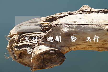 支付寶逾期會影響出行嗎 支付寶逾期會不會影響買車
