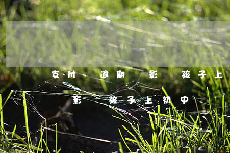 支付寶逾期會影響孩子上初中嗎(支付寶逾期會影響孩子上初中嗎)
