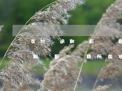 支付寶逾期會影響戶籍所在地嗎-支付寶逾期會影響戶籍所在地嗎怎么辦