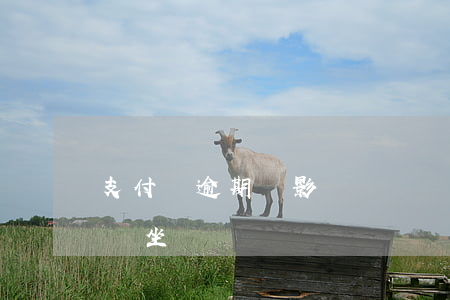 支付寶逾期會影響簽證嗎 支付寶逾期半年影響坐飛機嗎
